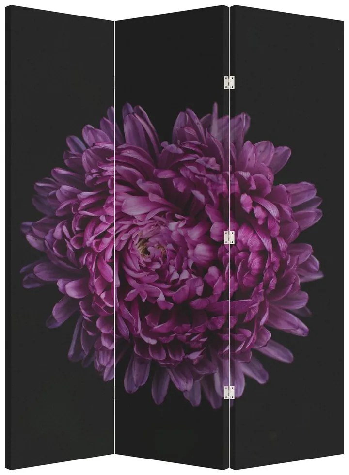 Parawan - Fioletowy kwiat (126x170 cm)