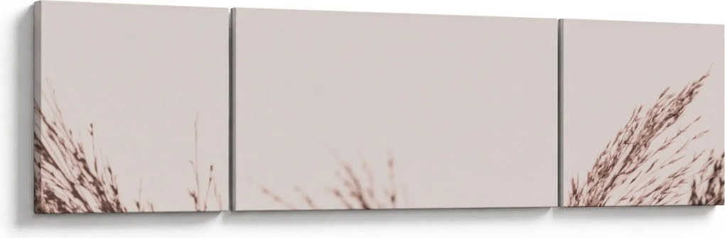 Obraz - Suszona trawa (170x50 cm)