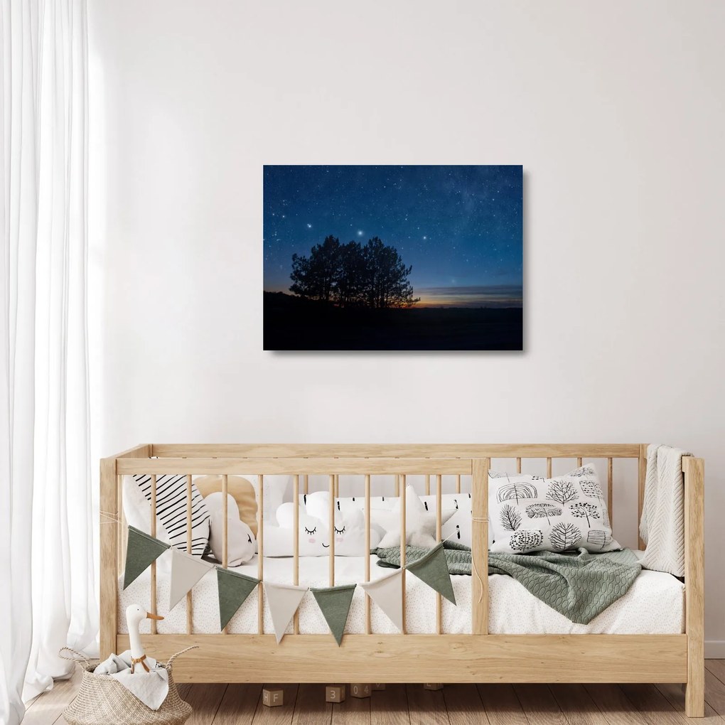 Obraz na szkle drzew w nocy (70x50 cm)