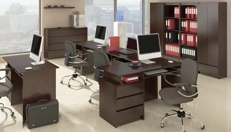 Minimalistyczny regał z szufladą wenge - Harpos 3X