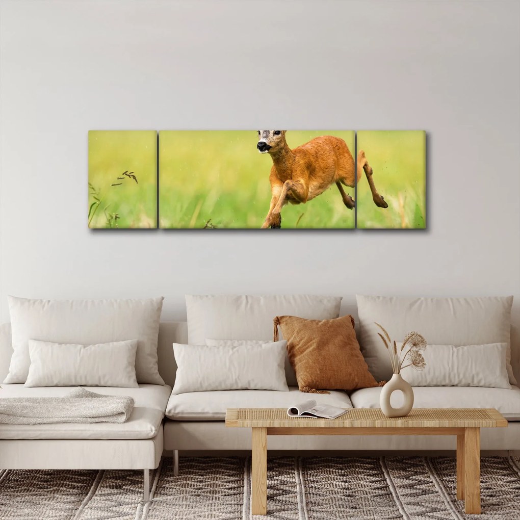 Obraz - Sarna (170x50 cm)