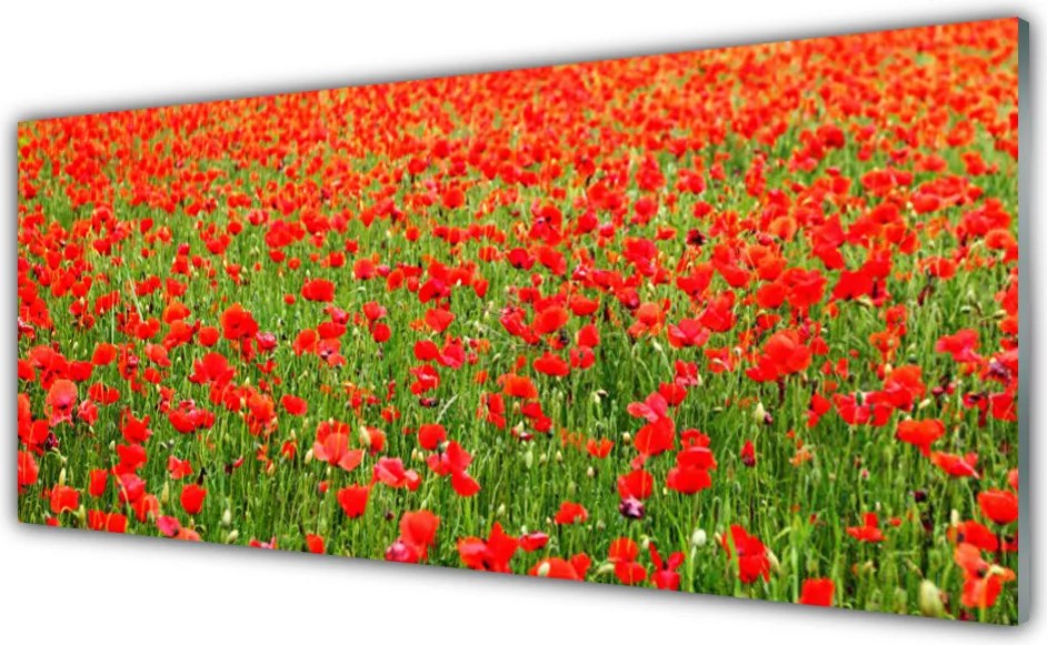 Panel Szklany Krwistoczerwone Maki
