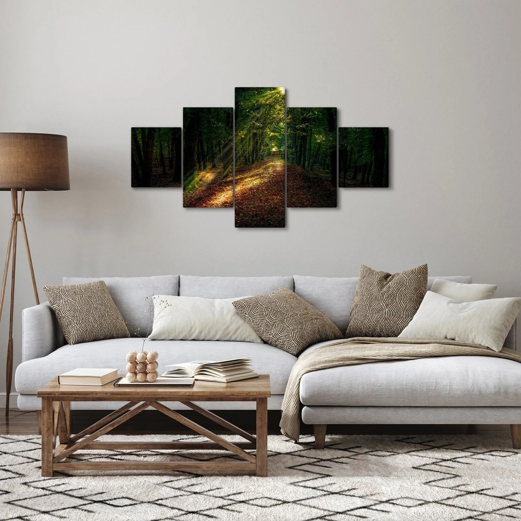 Obraz leśnej ścieżki (125x70 cm)