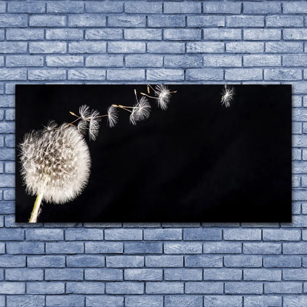 Obraz canvas Lekkość Polnego Dmuchawca