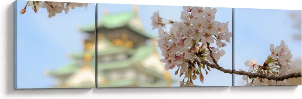 Obraz - Sakura (170x50 cm)