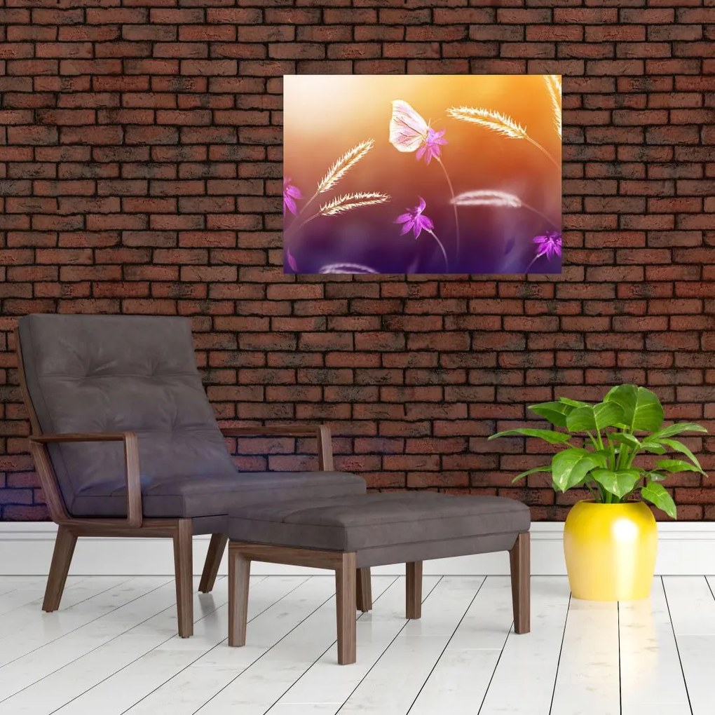 Obraz - Różowy motyl (70x50 cm)