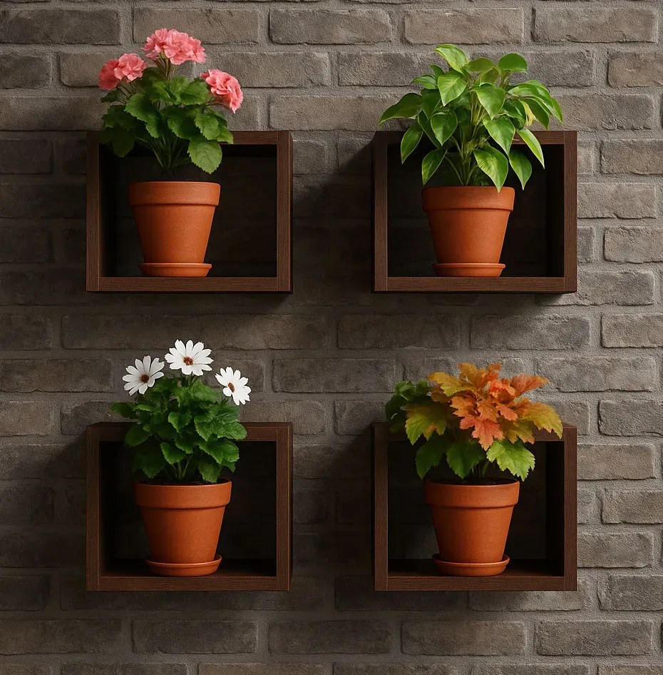 Kwadratowe półki wiszące na kwiaty wenge Z2-G98