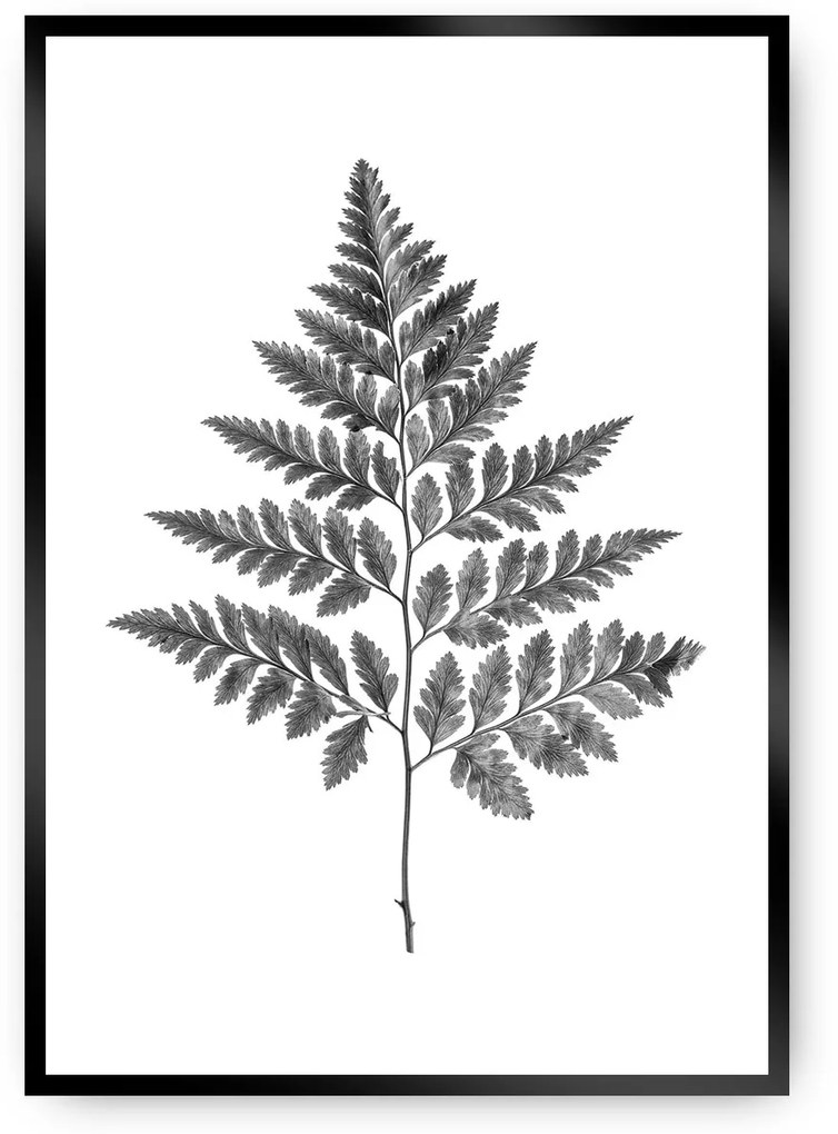 Plakat Fern Grey