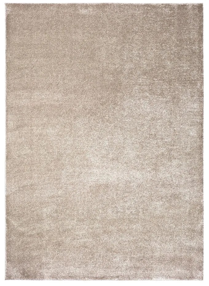 Szary/beżowy dywan 200x290 cm – Universal
