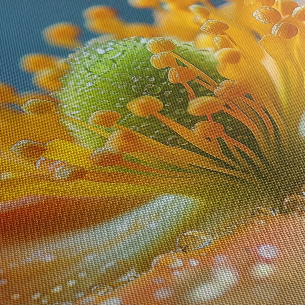 Obraz - Szczegół kwiatu (125x70 cm)