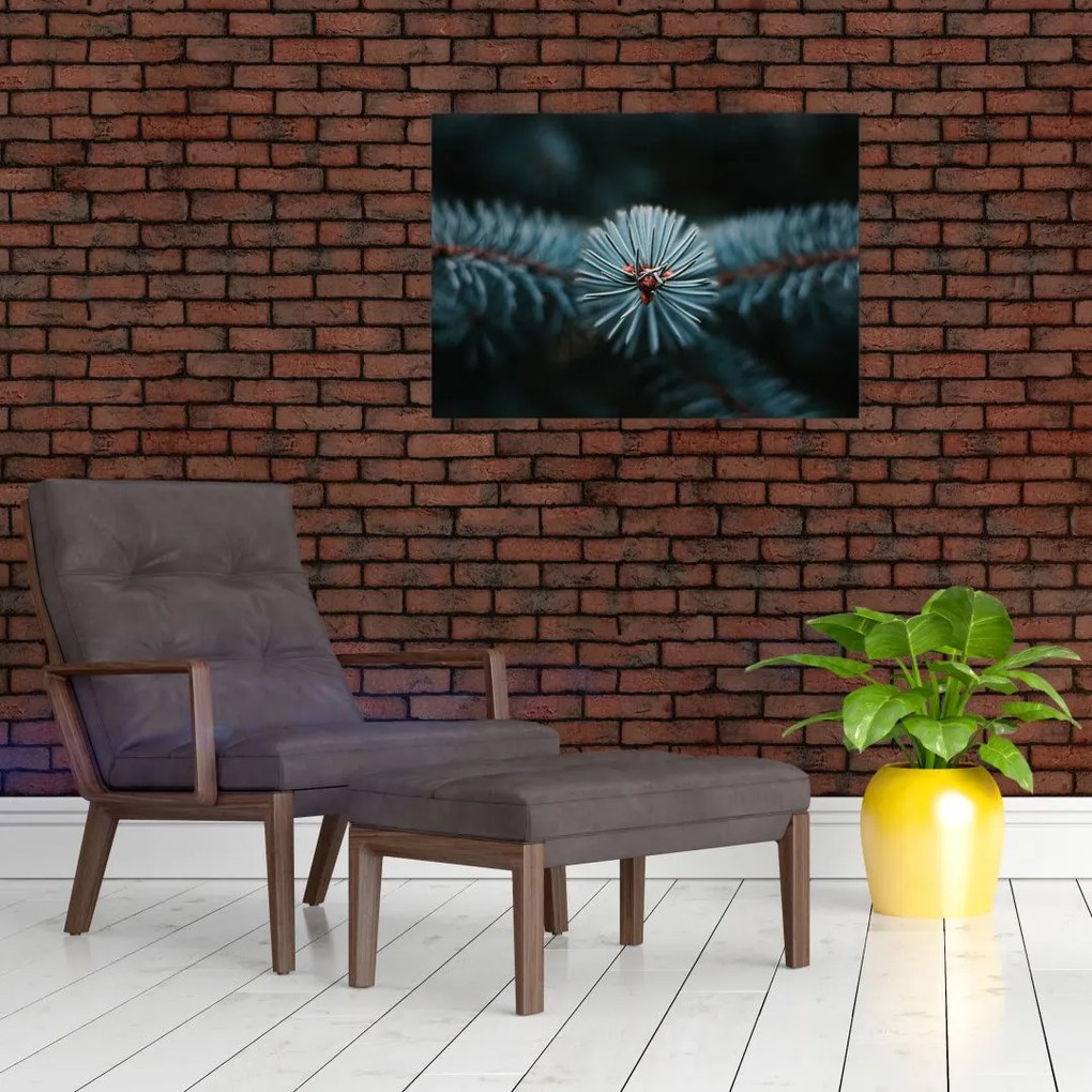 Obraz gałązki drzewa iglastego (70x50 cm)