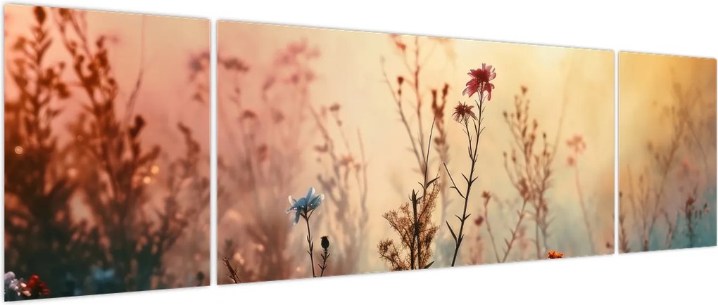 Obraz - Dzikie kwiaty (170x50 cm)