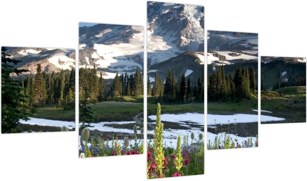 Obraz - Mount Rainier (125x70 cm)
