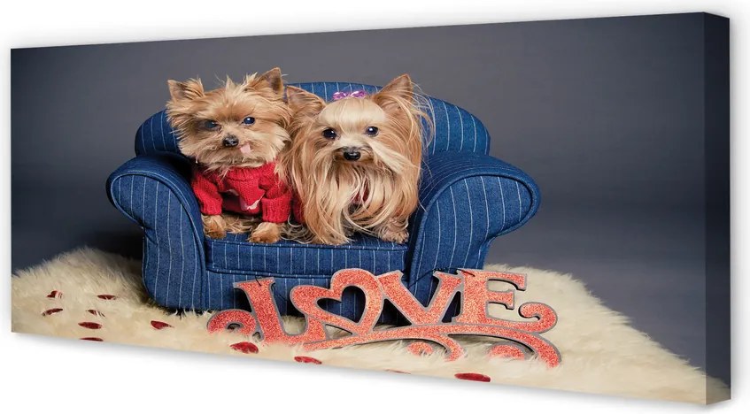 Duży obraz na płótnie Urocze Yorki