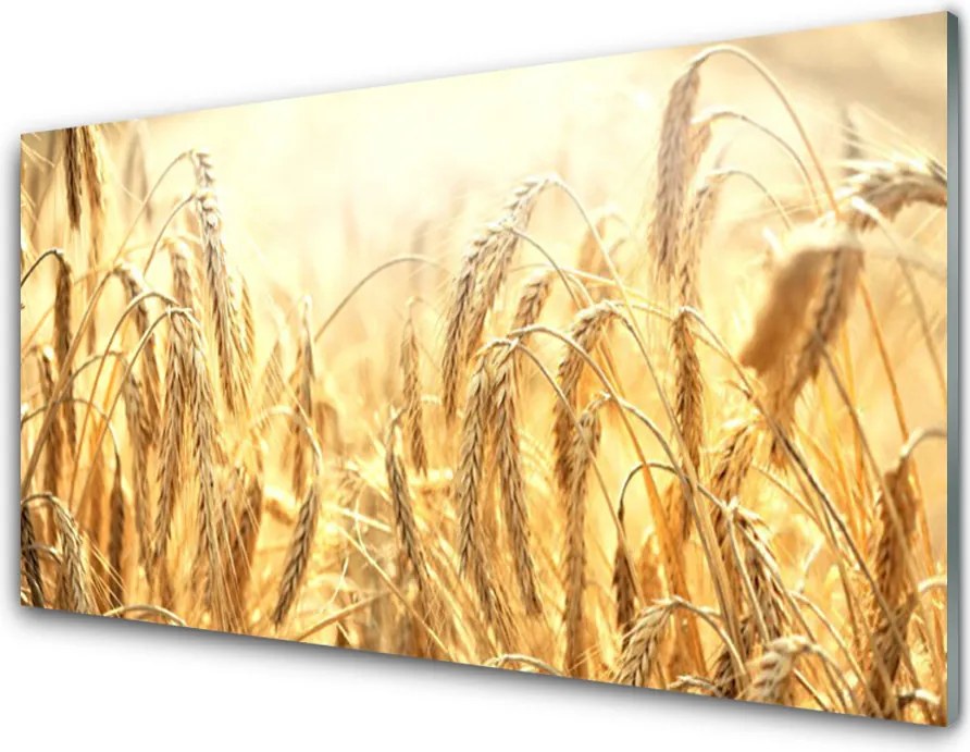 Panel Szklany Dojrzałe Kłosy Zboża