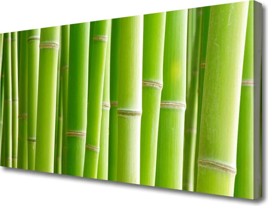 Obraz na płótnie Egzotyczny Kwiat i Bambus