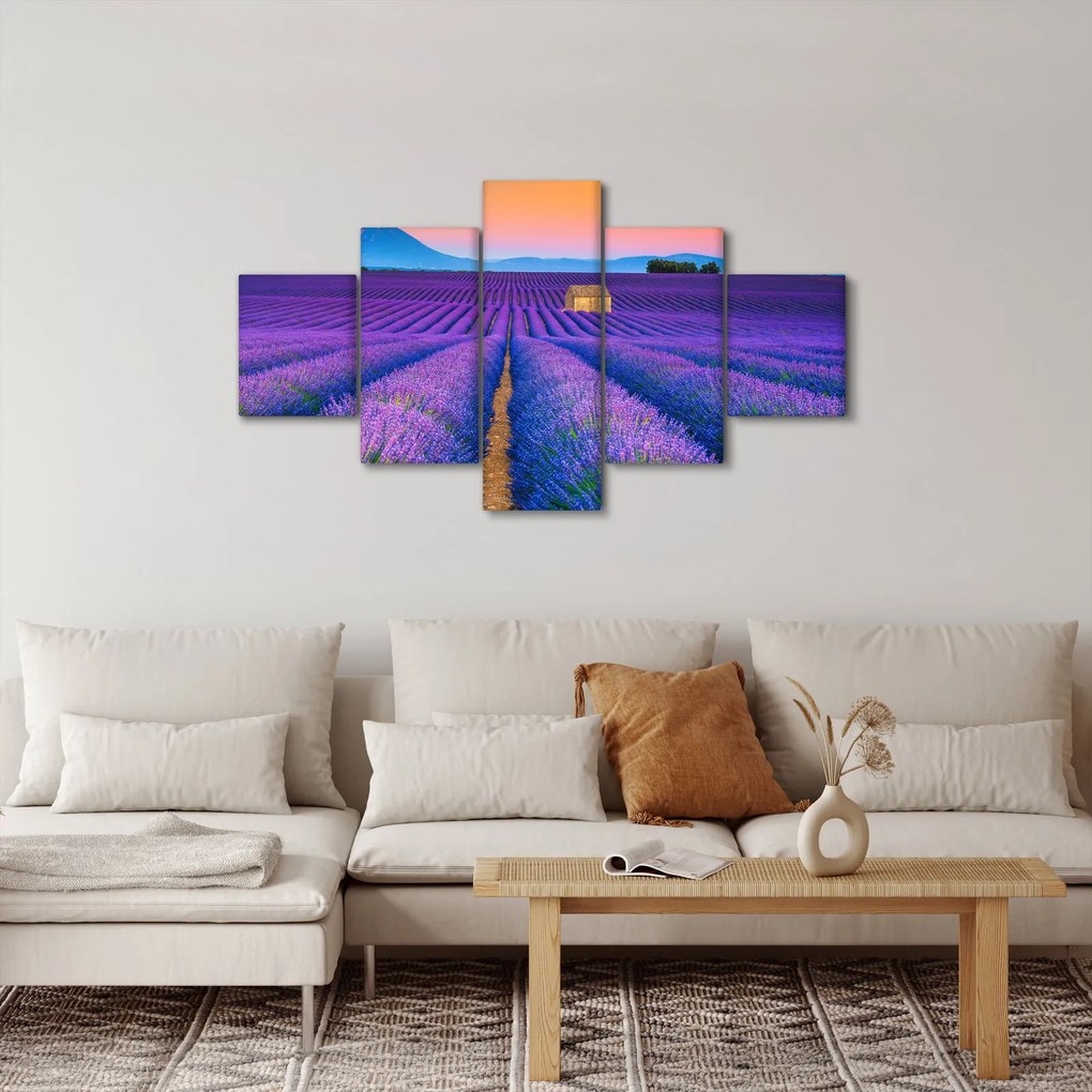 Obraz - Lewndowe pole (125x70 cm)