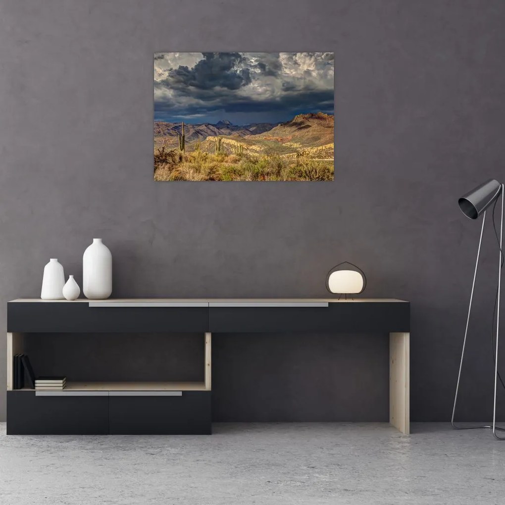 Obraz na szkle - kaktusy w przyrodzie (70x50 cm)