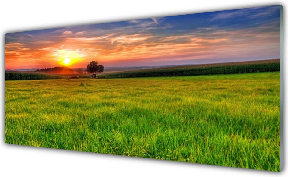 Szkło Ozdobne do Kuchni Słoneczna Polana o Poranku