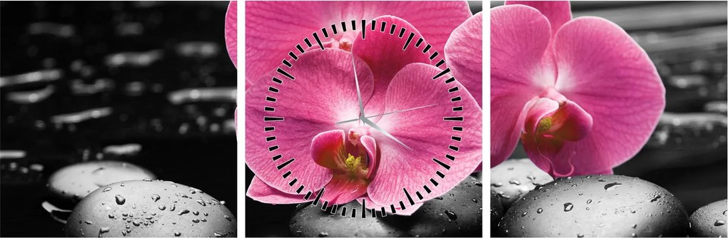 Obraz - Różowe orchidee (z zegarem) (90x30 cm)