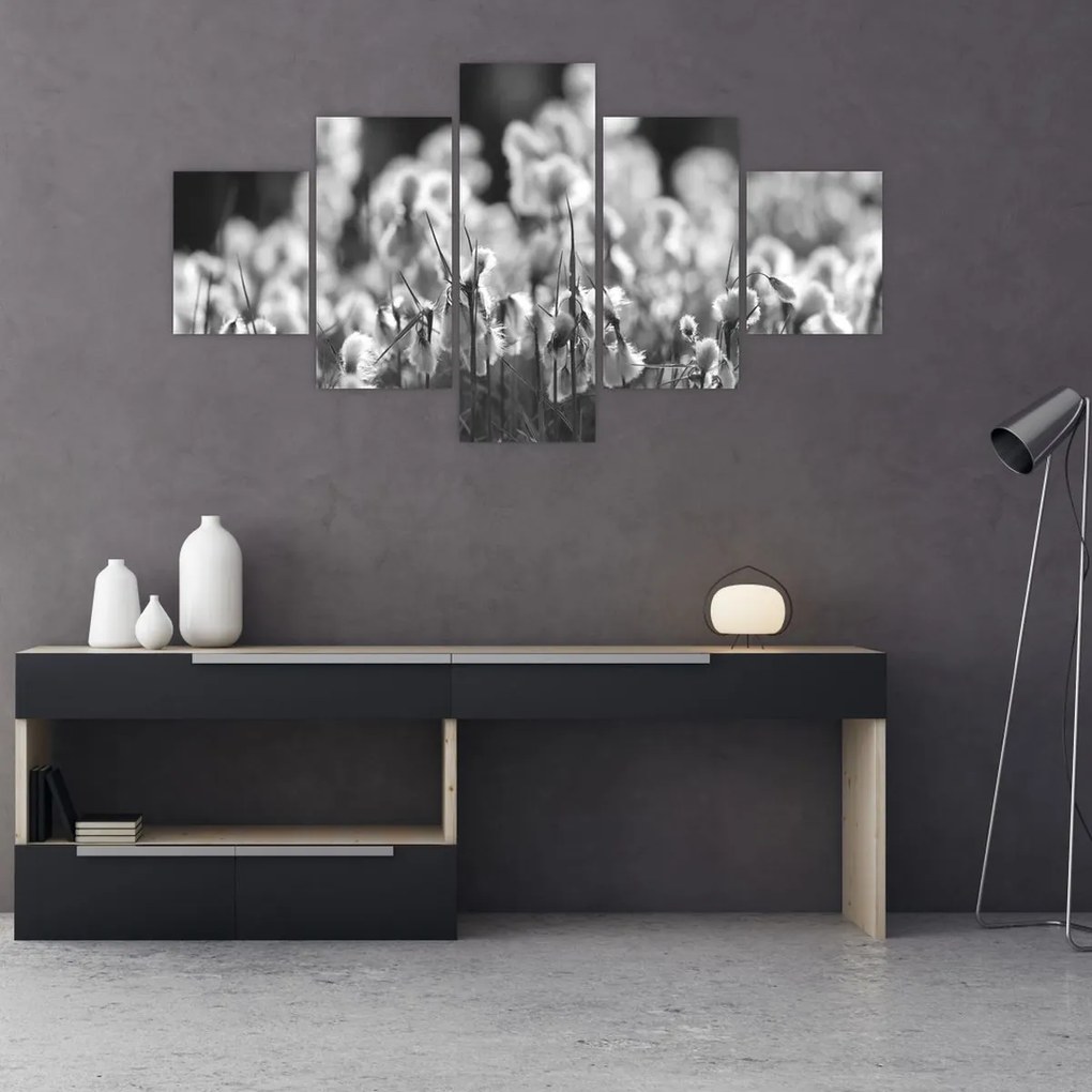 Obraz - Letnia łąka (125x70 cm)