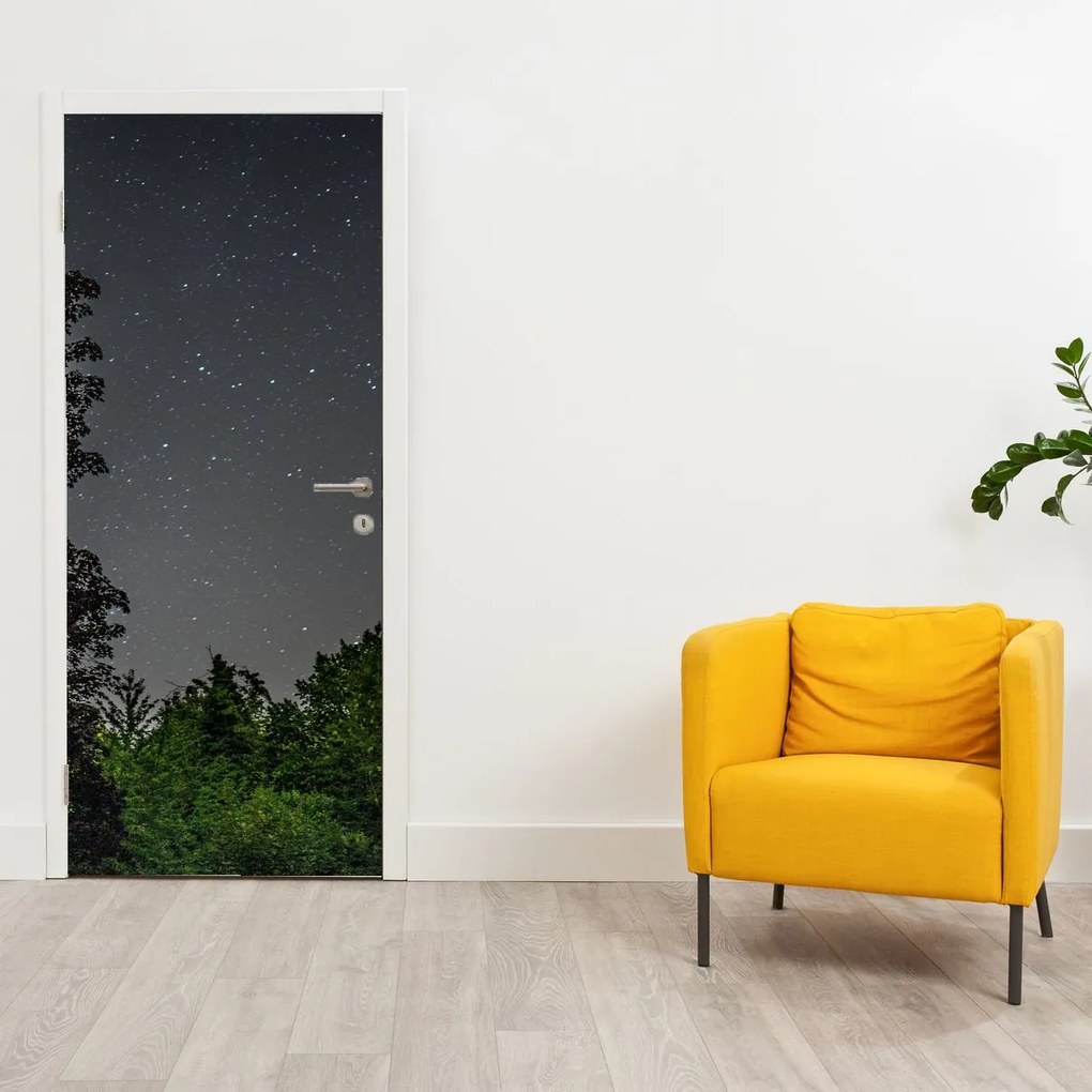 Fototapeta na drzwi - Nocne niebo (95x205cm)