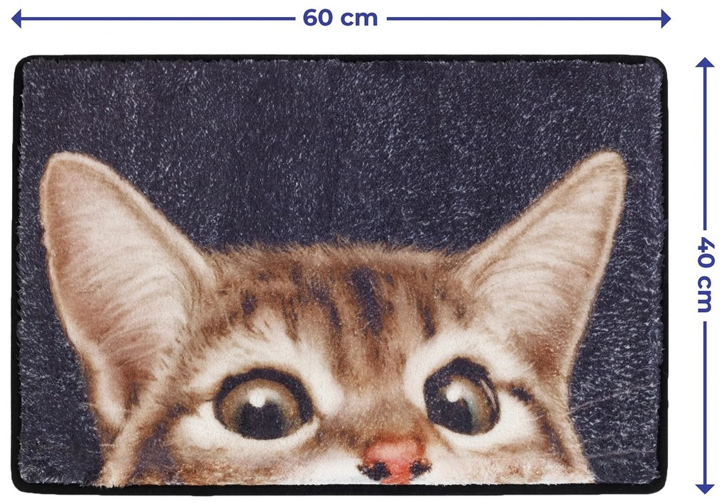Wycieraczka przed drzwi CAT, 60 x 40 cm