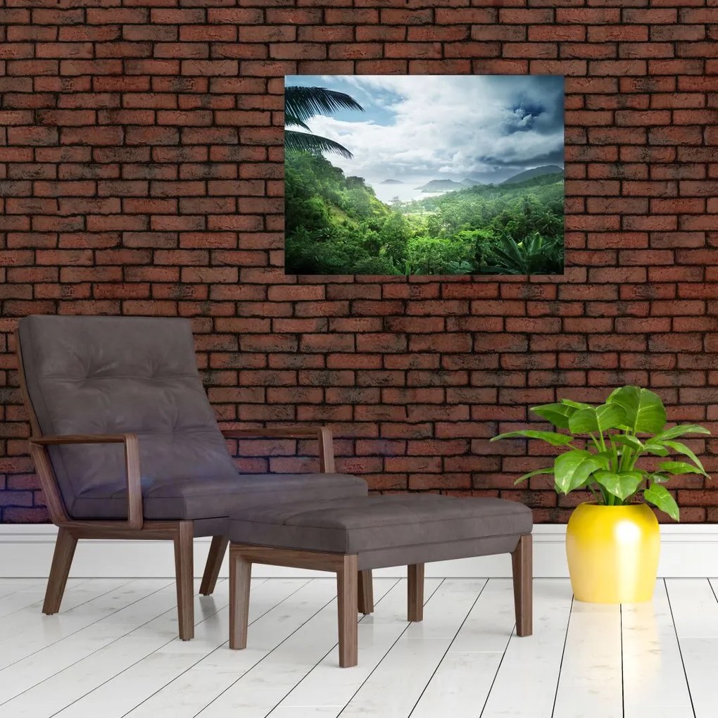 Obraz - Dżungla Seszeli (70x50 cm)
