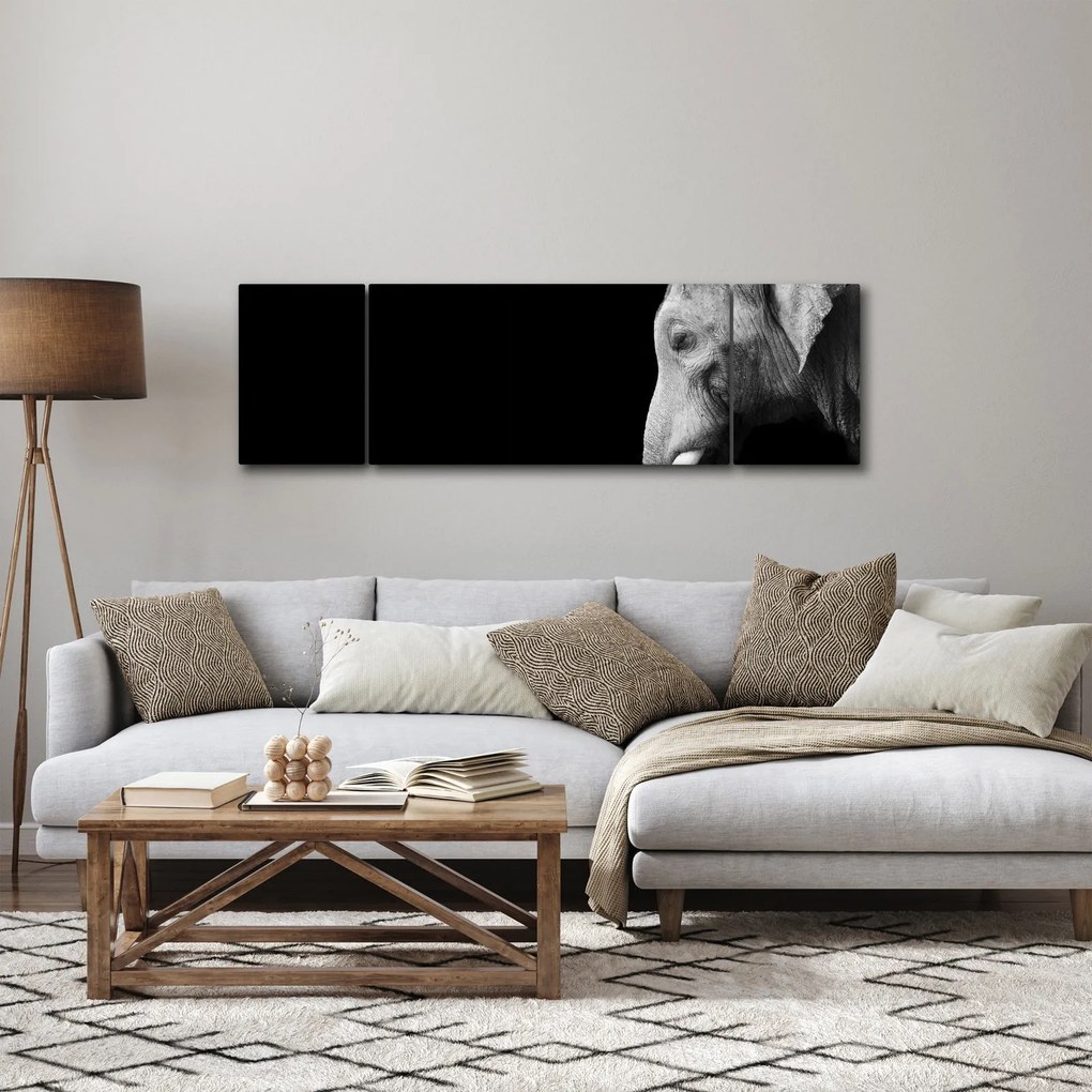 Obraz - Słoń (170x50 cm)