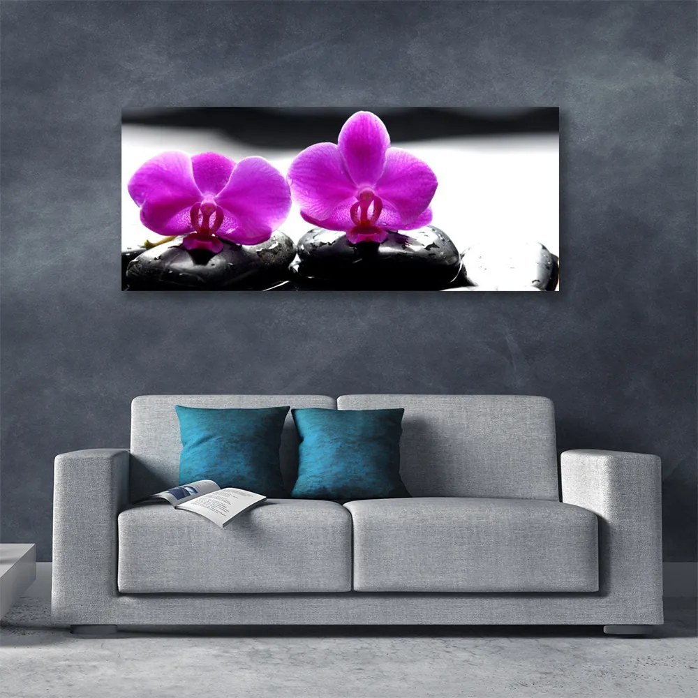 Obraz Canvas Kwiaty Orchidea Natura