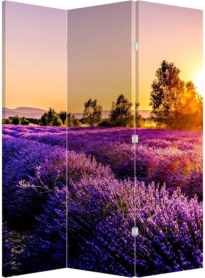 Parawan - Lawendowe pole (126x170 cm)