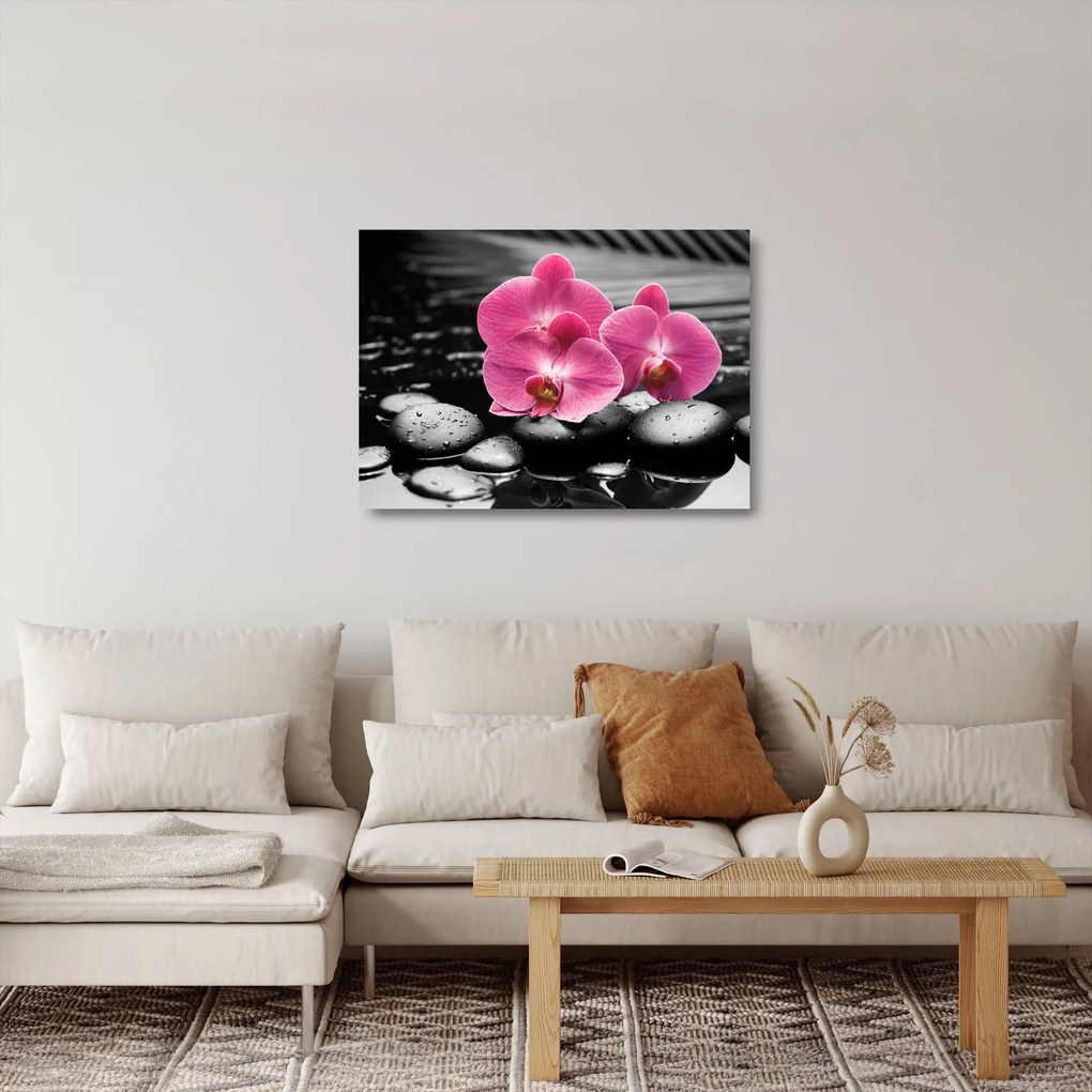 Obraz na szkle - Różowe orchidee (70x50 cm)