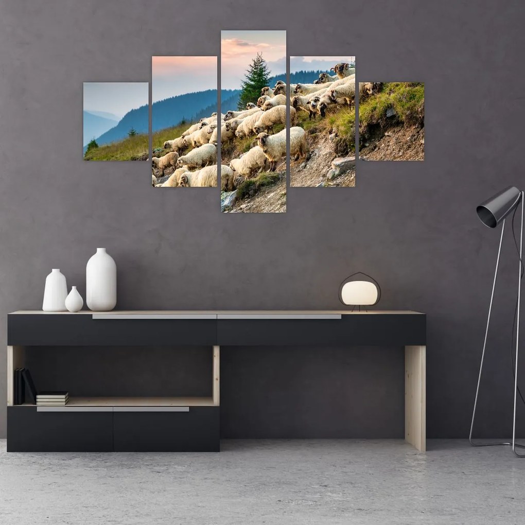 Obraz - Stado owiec (125x70 cm)