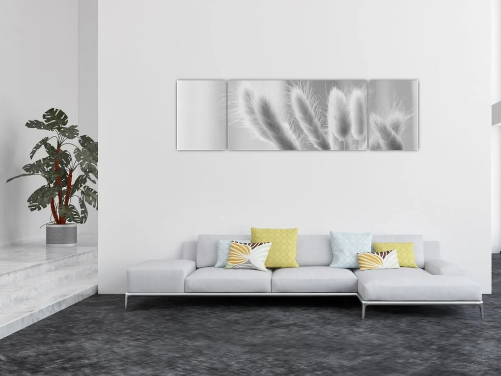 Obraz - Trawa z króliczym ogonkiem (170x50 cm)