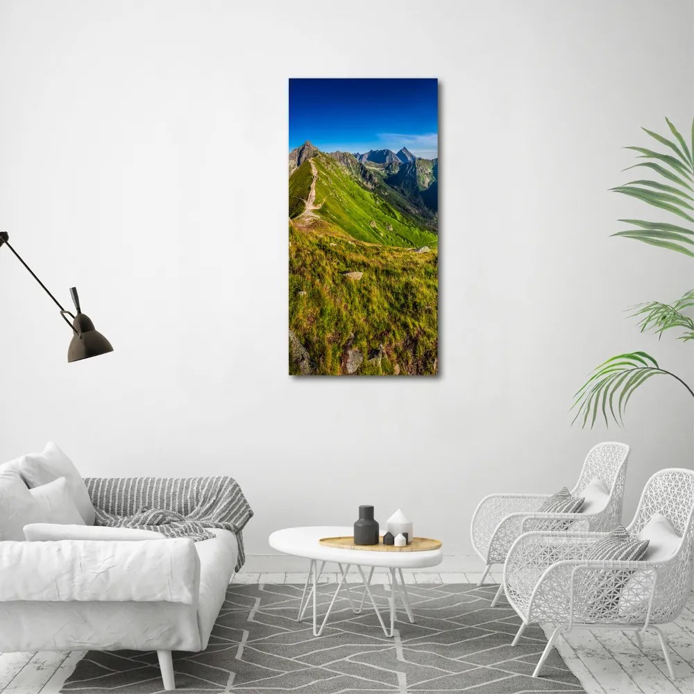 Fotoobraz szklany na ścianę do salonu Tatry