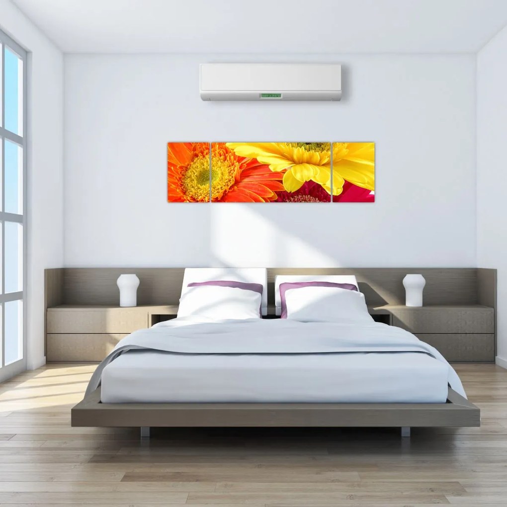 Obraz - Kwiaty Gerbery (170x50 cm)