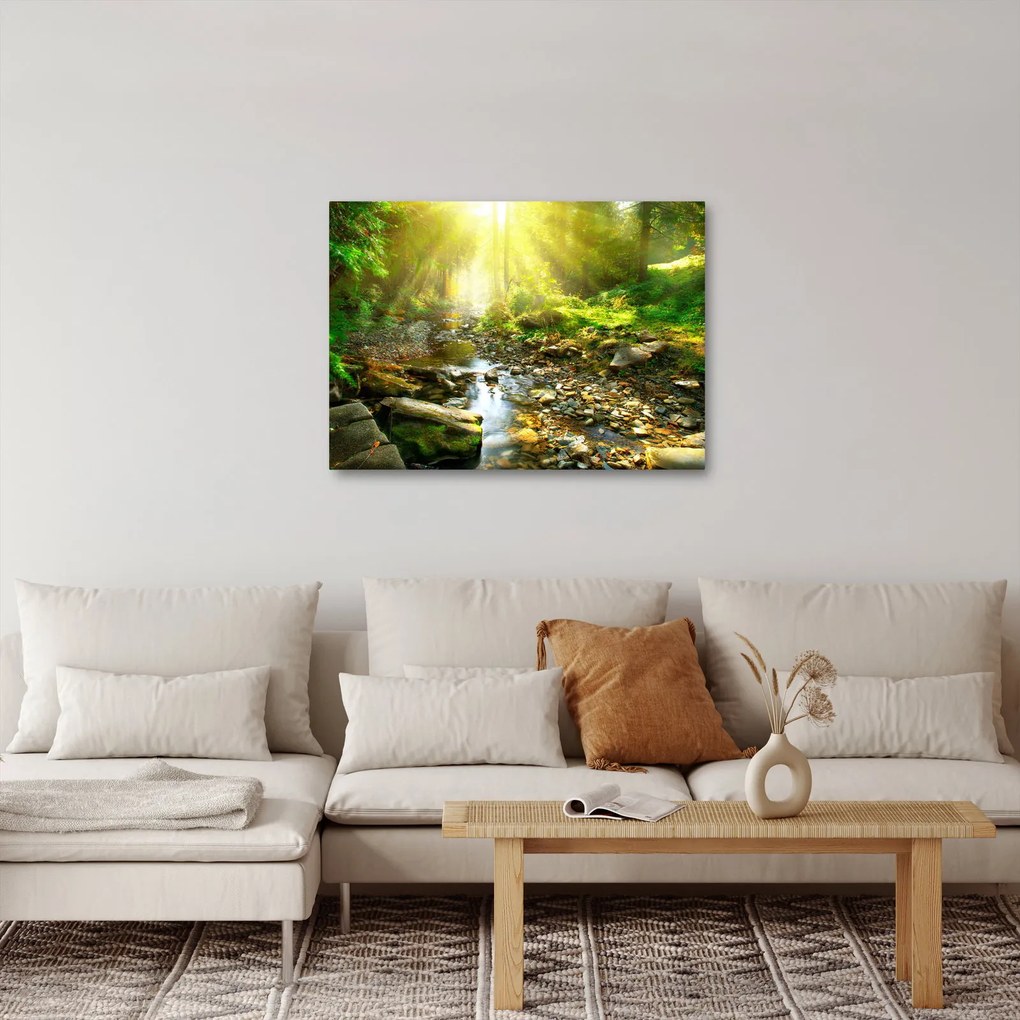 Obraz rzeki w zielonym lesie (70x50 cm)