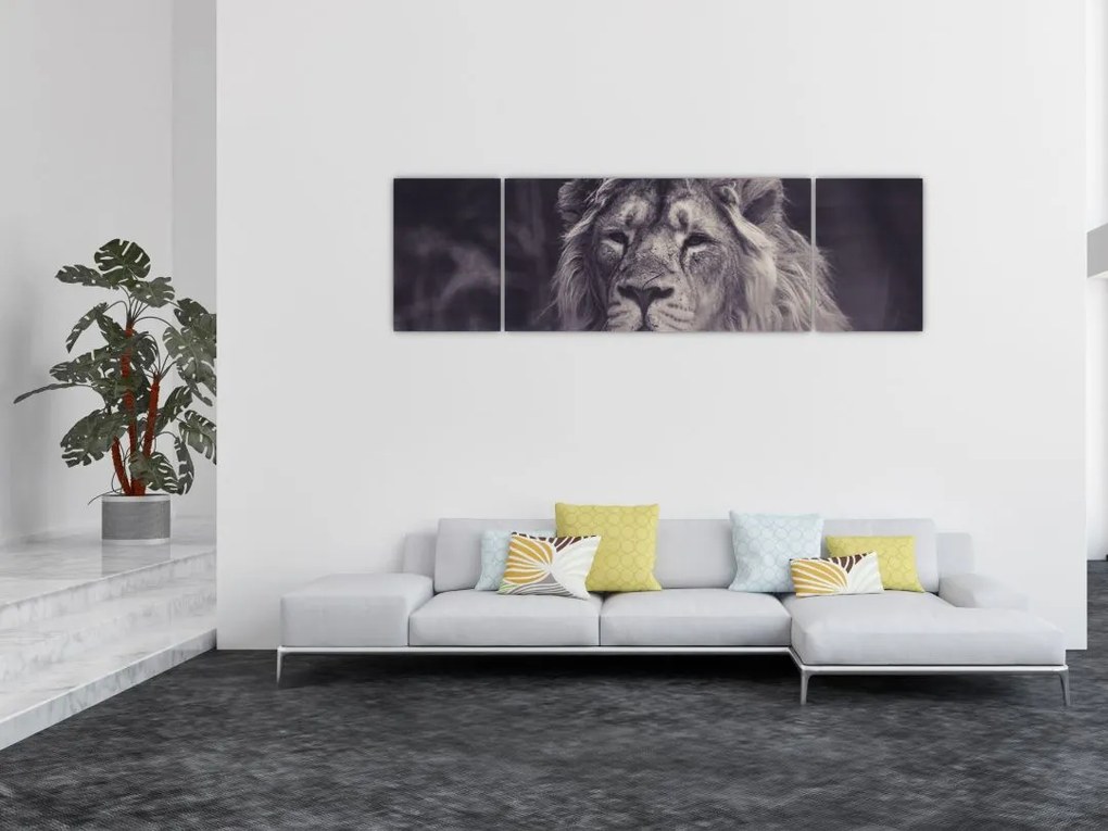Obraz lwa (170x50 cm)