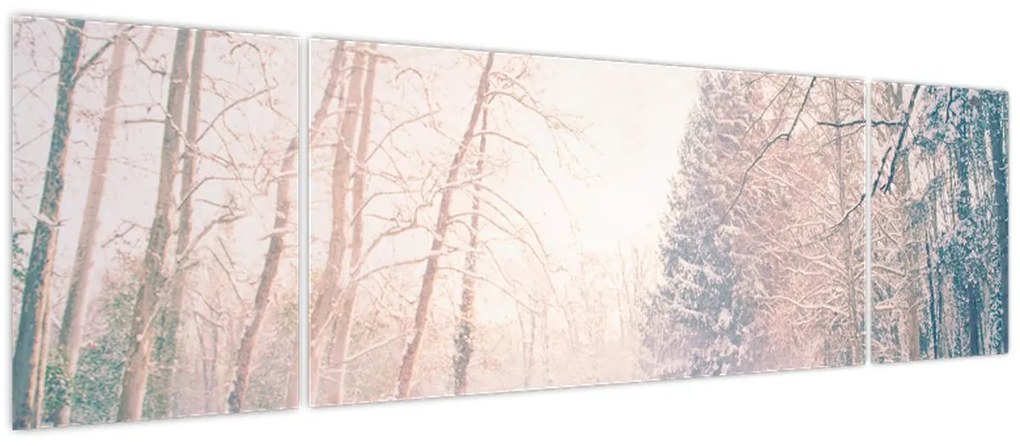 Obraz - Widok na las (170x50 cm)