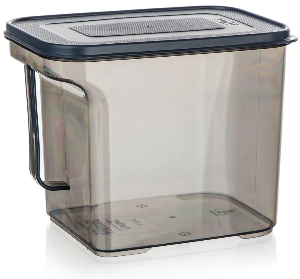 Banquet Pojemnik do przechowywania z uchwytem ZOYA2,75 l, dymny, 2,75 l