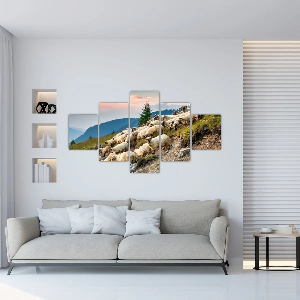Obraz - Stado owiec (125x70 cm)