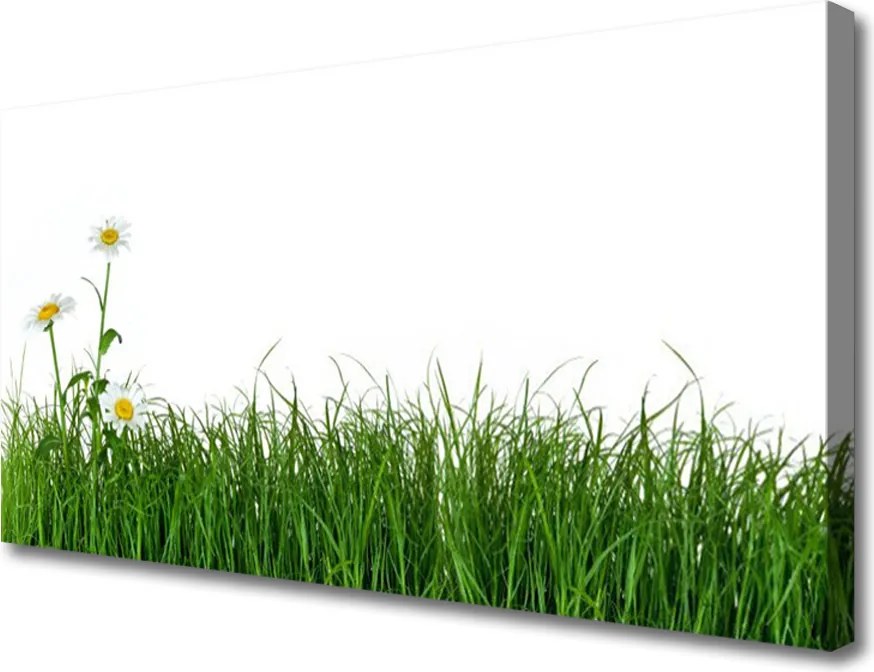 Obraz canvas na ścianę Delikatność Polnej Trawy