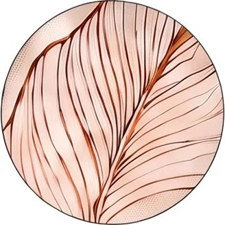 Parawan pokojowy 3-częściowy 135x172 Jednostronny dekoracyjny romantyczny botaniczny Beżowy Serce Kwiatu