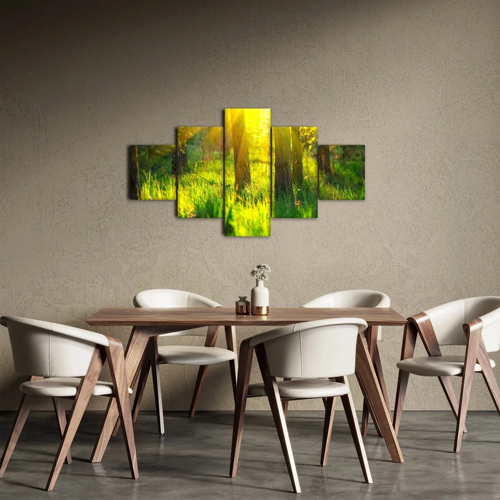Obraz - Wiosenne przebudzenie lasu (125x70 cm)