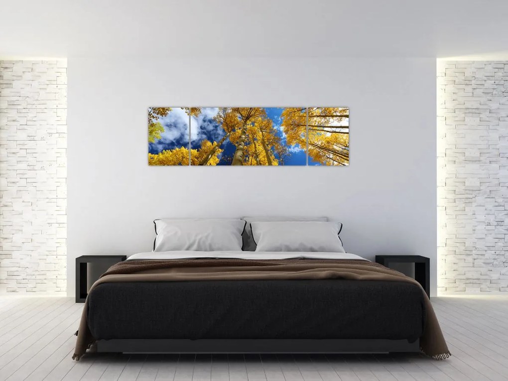 Obraz - Aspen (170x50 cm)