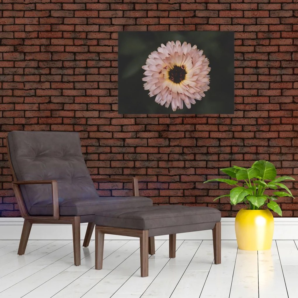 Obraz pomarańczowego kwiatu (70x50 cm)