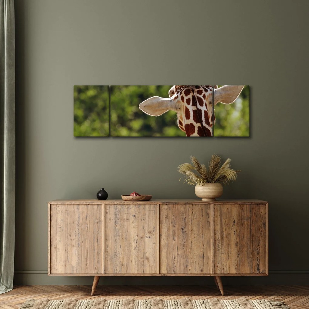 Obraz żyrafy od tyłu (170x50 cm)