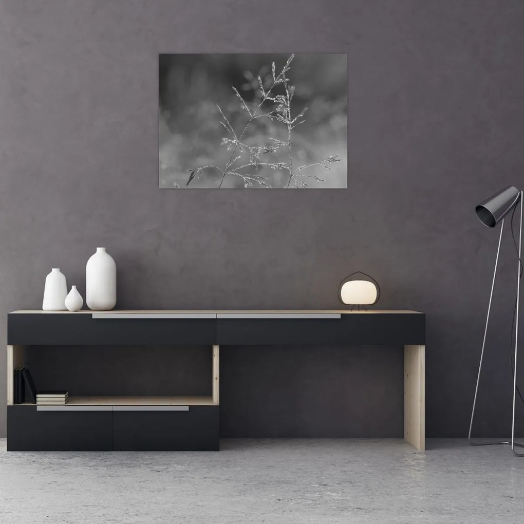 Obraz - Wiejska łąka (70x50 cm)