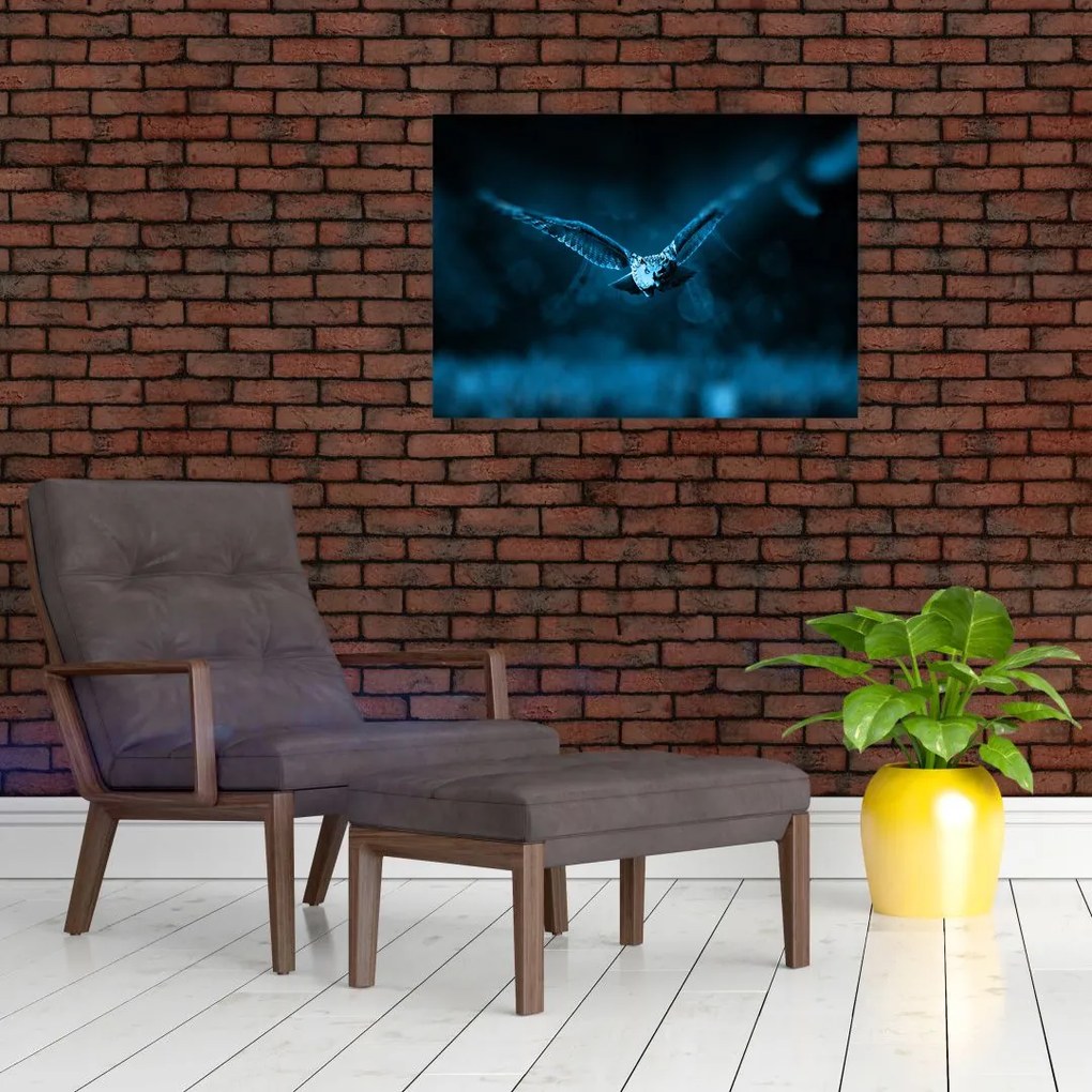 Obraz lecącej sowy (70x50 cm)