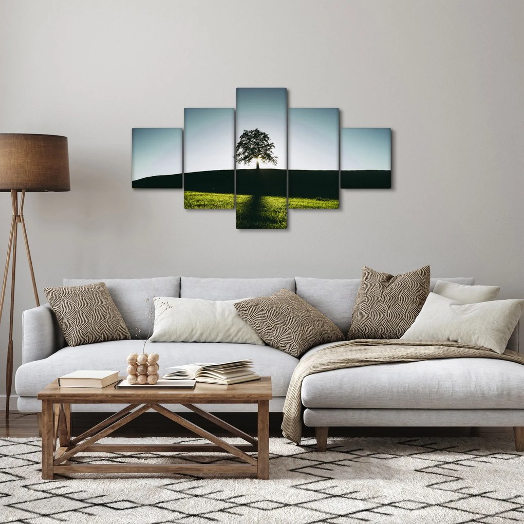 Obraz natury - drzewo (125x70 cm)
